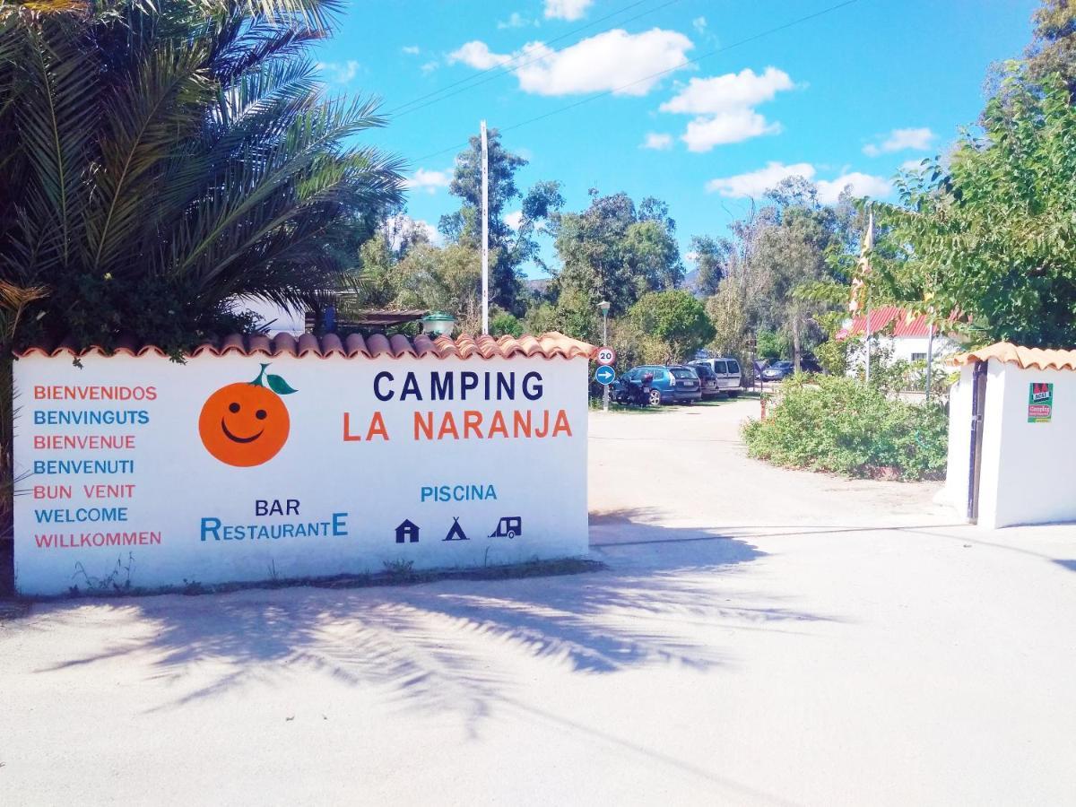 甘迪亚 Camping La Naranja酒店 外观 照片